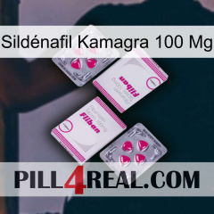 Sildénafil Kamagra 100 Mg 33